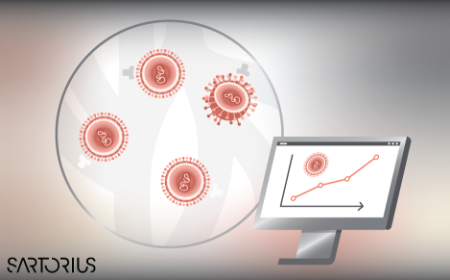 ﻿﻿Optimizing lentiviral purification: enhancing chromatography with monoliths