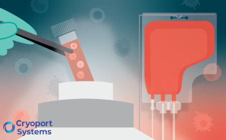 Preserving the future of medicine: standardizing leukapheresis materials with cryopreservation for scalable cell therapies