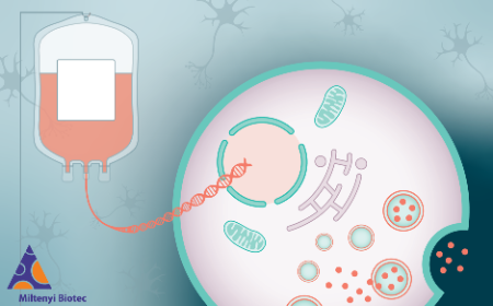 Case study: developing an ex vivo gene-modified hematopoietic stem cell treatment for a rare monogenic disease in a novel mouse model  ﻿