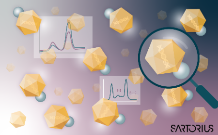 AAV capsid analysis and quantification with chromatography and ultracentrifugation-based techniques