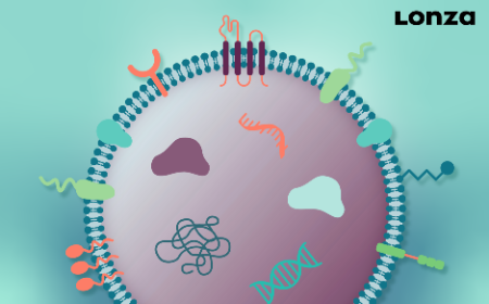 Producing engineered extracellular vesicles with a platform approach