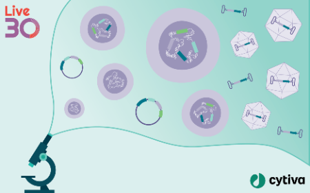 Redefining AAV manufacturing: achieve superior performance and quality with an innovative transient cell line