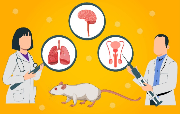 Accelerating immuno-oncology innovation using humanized mouse models