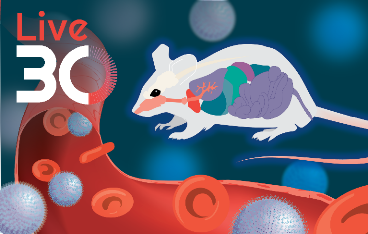 How are cationic lipids offering new possibilities in the delivery of RNA therapeutics?