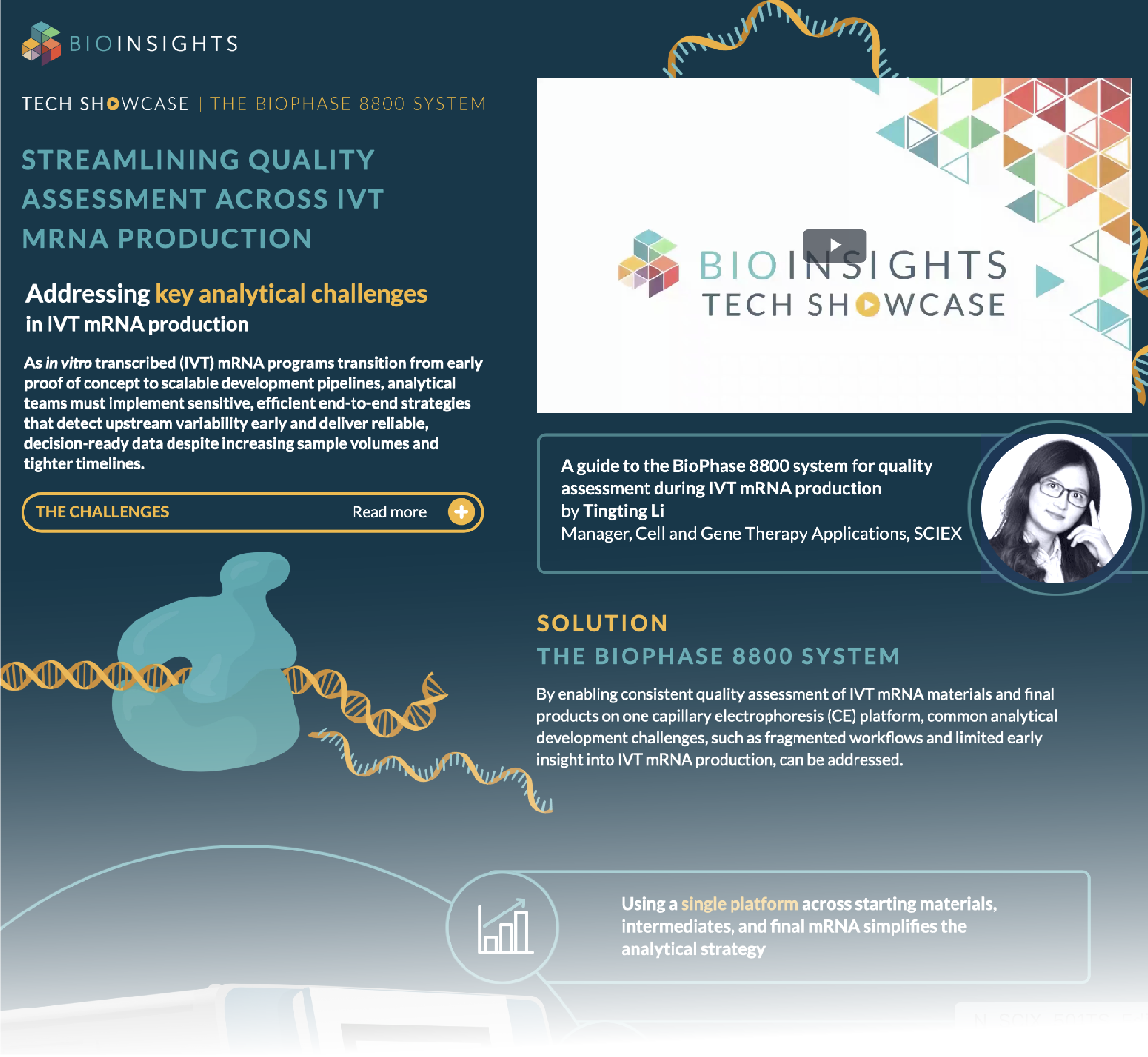 Interactive summary preview