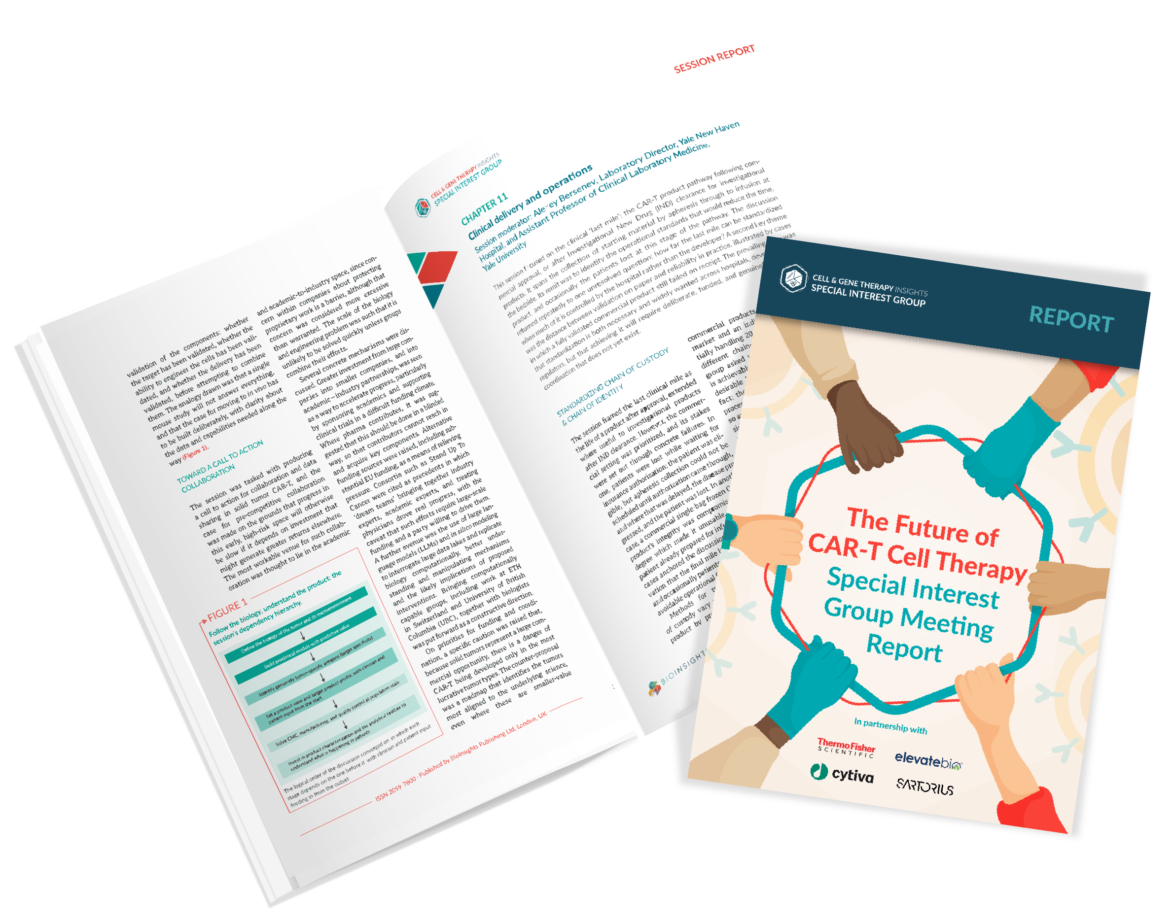 The Future of CAR-T Cell Therapy - Special Interest Group Meeting Report cover