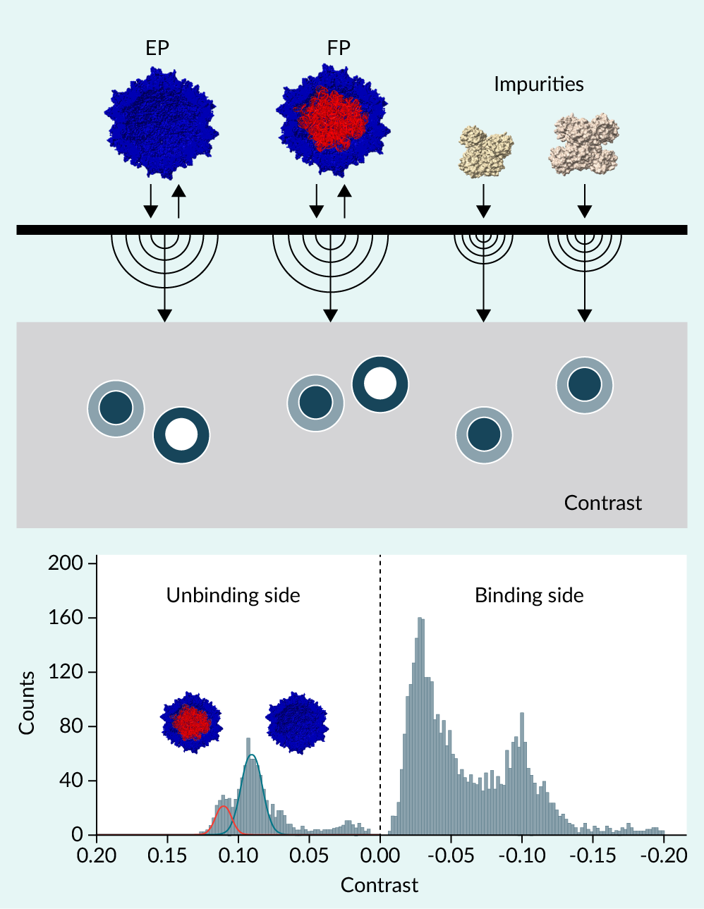DirectMP conceptual figure