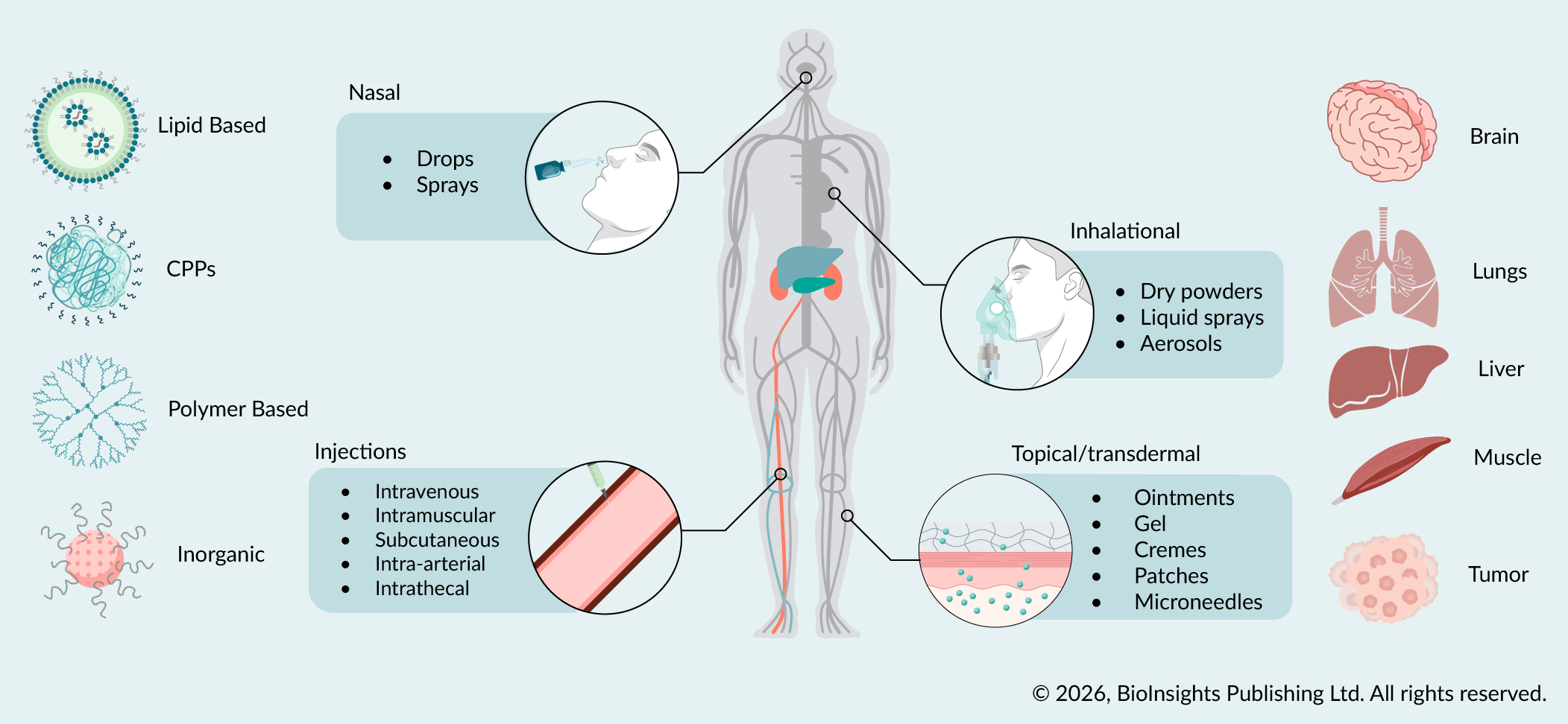 Graphical abstract.