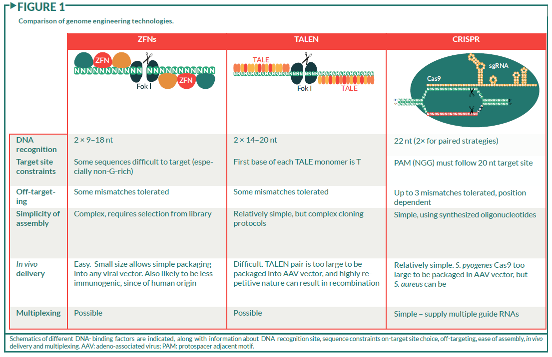 Comparison of genome engineering technologies. 