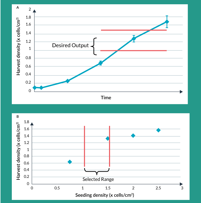 Figure 2. Process characterization: optimizing seeding density for maximum yield.  A) Growth Curve B) Harvest Density vs Seeding Density